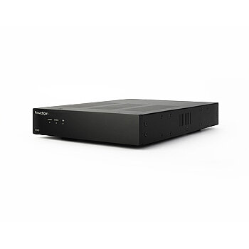 Paradigm X-500 Mono Amplifikatör - Siyah (Tekli) - 2